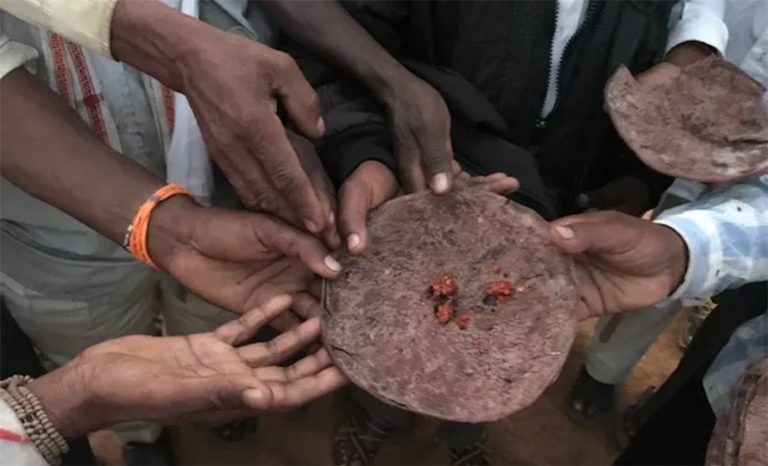 विश्व खाद्य कार्यक्रमको बजेट कटौतीले भविष्यमा भोकमरी बढाउने चिन्ता