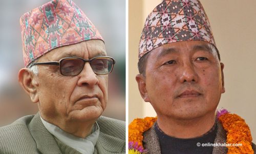 राप्रपा अध्यक्षमा डा. लोहनीको समर्थन लिङ्देनलाई