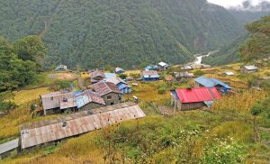 संखुवासभाको उत्तरी क्षेत्रमा खाद्यान्न अभाव