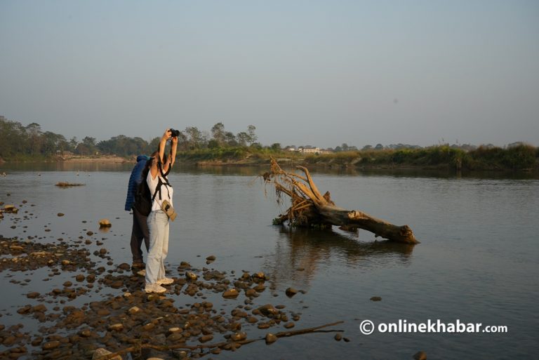 सौराहामा देखिन थाले विदेशी पर्यटक