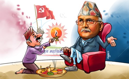 ओलीका अनुकूलता र अप्ठ्यारा