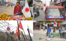 एमाले महाधिवेशनमय बन्यो चितवन (फोटो फिचर)