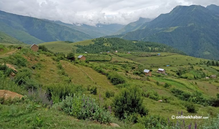 पहाडको एकचौथाइ कृषियोग्य जमीन बाँझै