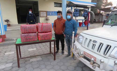 मकवानपुरबाट  ३४ किलो गाँजासहित दुई जना पक्राउ
