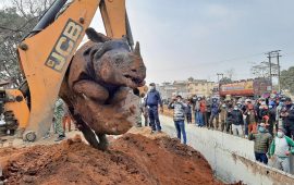 गैंडा मृत्यु प्रकरण : न सार्वजनिक भयो छानबिन प्रतिवेदन, न पक्राउ परे ठेकेदार