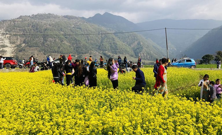 रत्नेचौरको भाइरल रोडमा टिकटक बनाउन निषेध