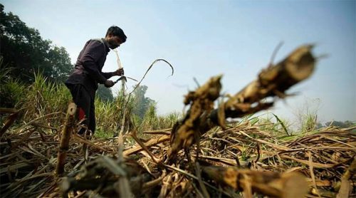 उखुबारीमा शंकास्पद दुई खाल्डा : एउटामा शव, अर्काेमा उत्खनन गरिंदै