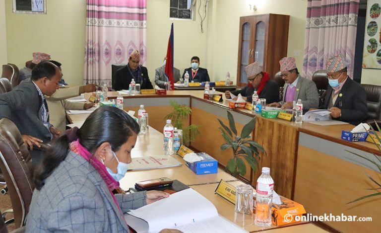 लुम्बिनी प्रदेश योजना आयोगको संगठन संरचना र दरबन्दीको अवधि थप