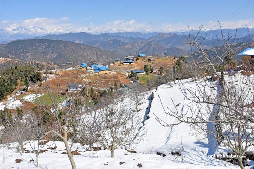 रोल्पाको स्मार्ट कृषि गाउँमा हिउँले फर्कायो हर्ष