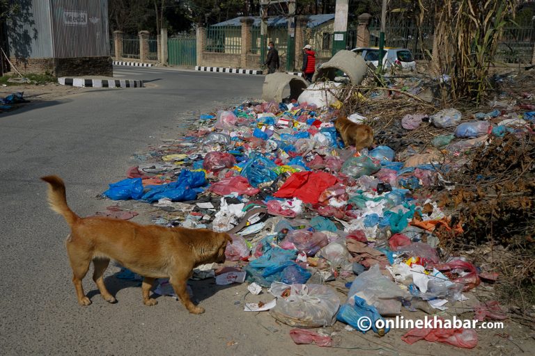 फेरि उठ्न छाड्यो काठमाडौंको फोहोर, चुनावसम्म सडकमै थुप्रिने