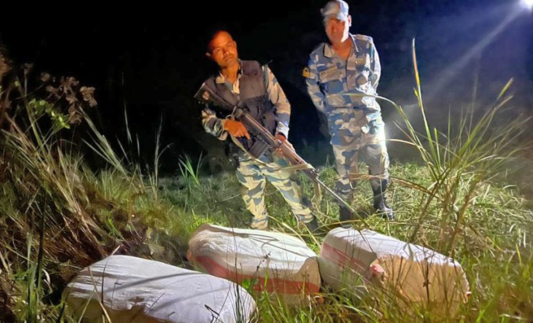 झाडीमा लुकाइराखेको ७५ किलो गाँजा बरामद