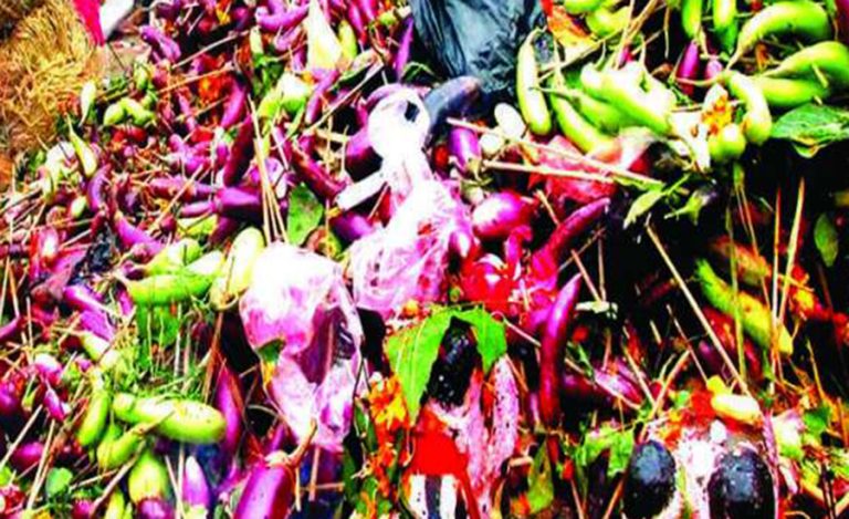 महाशिवरात्रिमा भन्टाको भार बेचेरै मनग्य आम्दानी