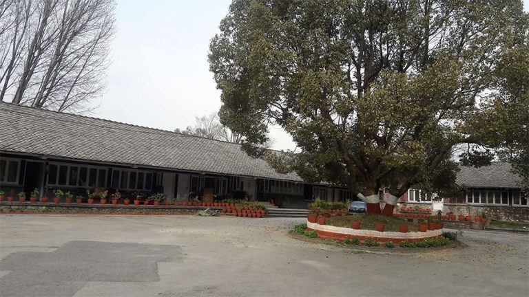 जनक शिक्षाले एक कर्मचारीलाई सेवाबाट हटायो