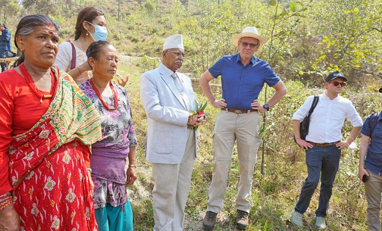 वातावरण अनुकूलन कार्यक्रमबाट पाखा हराभरा बनाउँदै काभ्रेका किसान