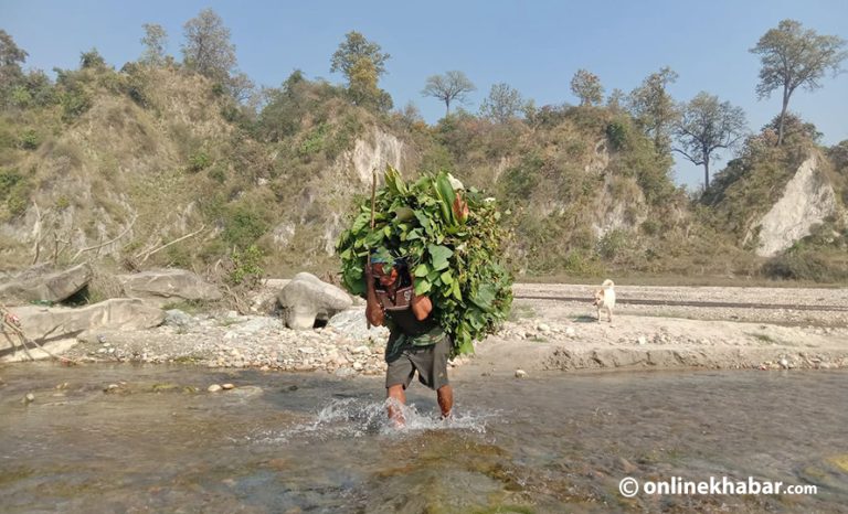 ठोरीलाई पर्यटकीय क्षेत्र घोषणा गरिंदै