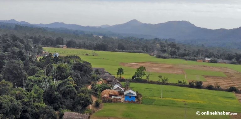 फूल नफुल्ने फूलबारी