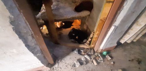 इटहरीमा बम विस्फाेट, दुई जना घाइते