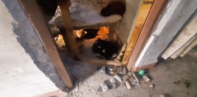 इटहरीमा बम विस्फाेट, दुई जना घाइते