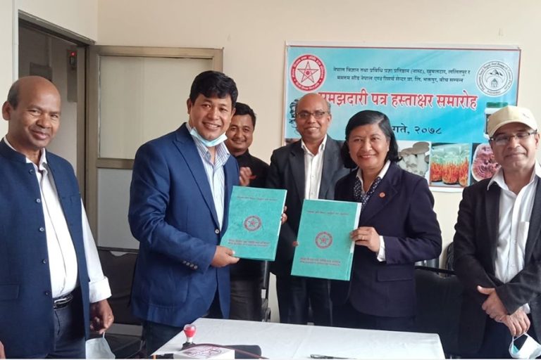 च्याउको अनुसन्धानका लागि नास्ट र मसरुम सीडबीच सम्झौता