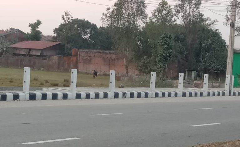 बुढीगङ्गामा शंकास्पद वस्तु भेटियो