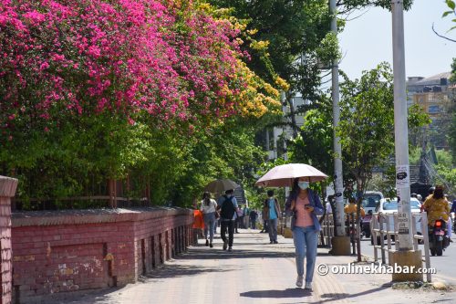 काठमाडौं कथा : फूलैफूलको सहर भइदिएको भए