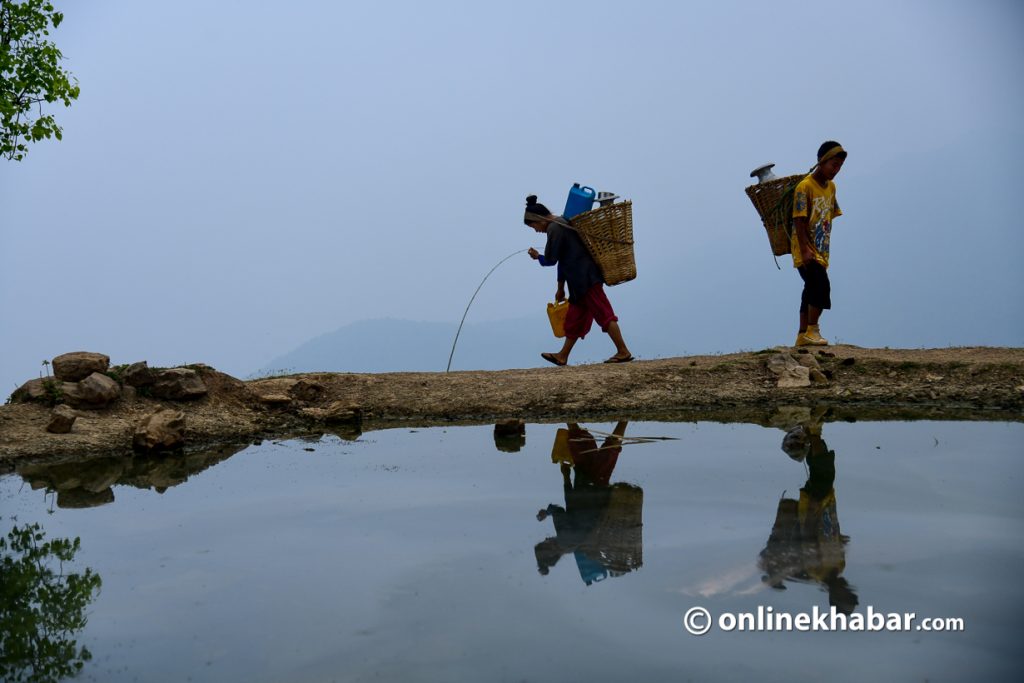 कतै तपाईंले पिउने पानी नै बिरामी पो छ कि ?