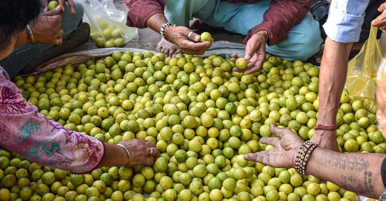 कागतीको मूल्य घट्यो