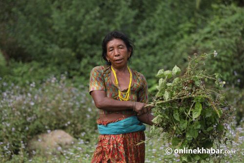 प्राकृतिक स्रोतसाधनमा आदिवासी जनजातिको अधिकार : चर्का कुरा, होलान् पूरा ?