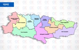 पाल्पामा २ अस्थायी मतदानस्थलमा १९२३ मतदाता