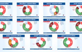 २०७४ को स्थानीय निर्वाचन फर्केर हेर्दा : उपमहानगरमा कसको अवस्था कस्तो ?