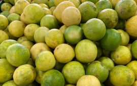 निबुवा र कागतीको भाउ घट्यो