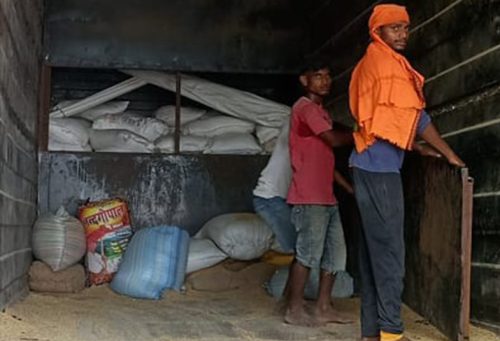 धानको कन्टेनरमा चिनी तस्करी, भन्सारले फेर्‍यो जाँच पासको लेन