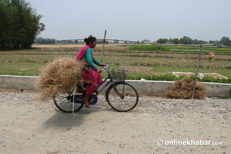 इटहरी : थारूलाई आफ्नै भूमि बिरानो