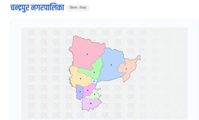 चन्द्रपुर नगरपालिका-१ को वडाध्यक्षमा कांग्रेसका राउत विजयी