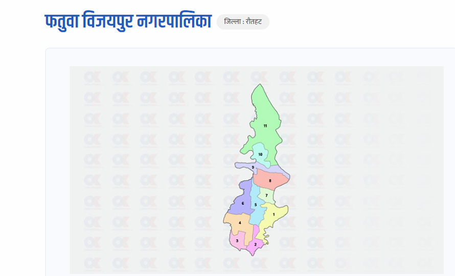 रौतहटको फतुवा विजयपुरमा दुई पक्षबीच झडप, केहीबेरका लागि मतदान स्थगित