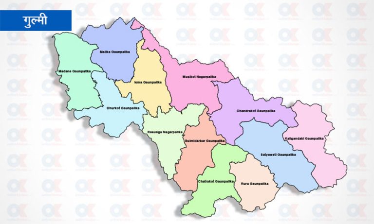गुल्मीका १२ मध्ये कांग्रेस ५, माओवादी केन्द्र ४ र एमाले ३ पालिकामा विजयी