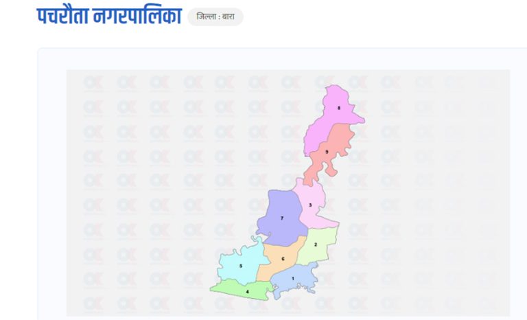 बाराको पचरौतामा तनाव,  केहीबेरका लागि रोकियो मतदान