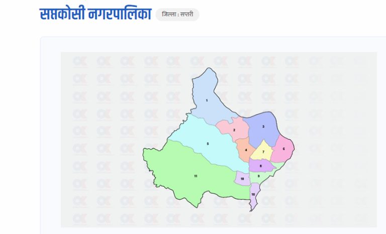 सप्तकोशी नगरपालिकाको मेयर र उपमेयरमा कांग्रेसको अग्रता कायमै