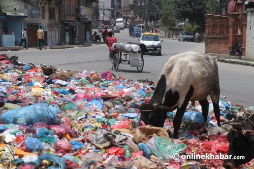 फोहोर बोक्ने गाडी बिग्रिए, सडकमा डंगुर उस्तै