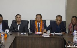 एन्फा
