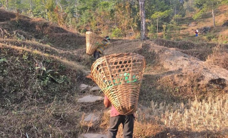 सम्बन्ध विच्छेदले बढ्दैछ ‘बालश्रम’