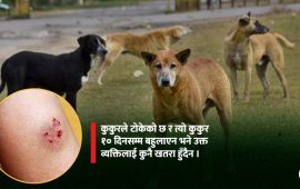 कुकुरले टोक्नासाथ रेबिज लाग्छ ?