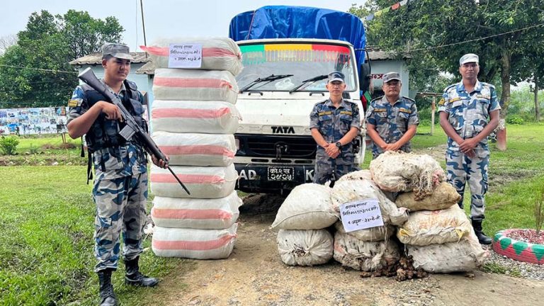 सप्तरीबाट १७५ किलो गाँजा बरामद