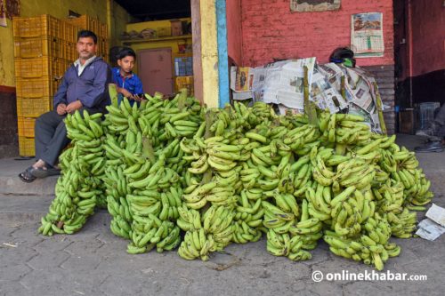 छठका लागि भारतबाट ल्याइयो ५० लाखका केरा