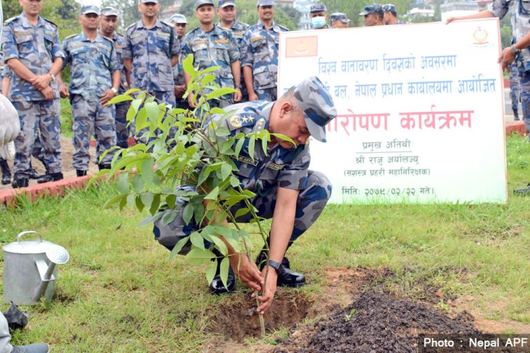 विश्व वातावरण दिवसको अवसरमा वृक्षरोपण