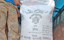 माघयता लुम्बिनीमा एक बोरा पनि युरिया झरेन