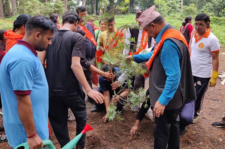 वातावरण दिवसको अवसरमा वृक्षरोपण