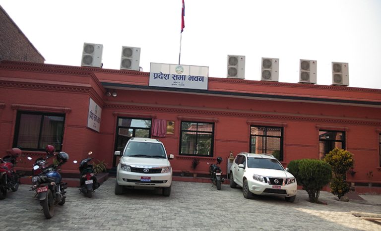 लुम्बिनीका संसदीय समिति डेढ वर्षदेखि नेतृत्वविहीन