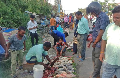 वीरगञ्जको मुख्य सडकमै माछा बजार