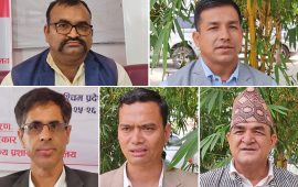 स्थानीय तह निर्वाचन